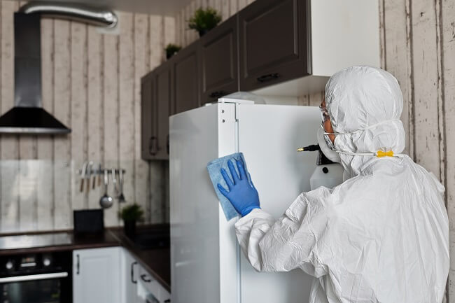 disinfecting Kitchen